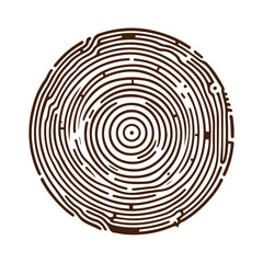  Hand drawn tree ring wood circle vector flat design
