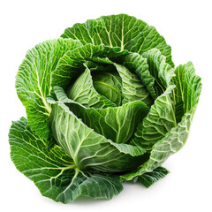 Fototapeta premium A head of young green cabbage isolated on a white background, showcasing its fresh, leafy texture