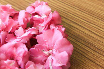 
Pink Kaner or Nerium Oleander Flowers on brown wooden background, Valentines Day, Easter, Happy Women's Day, Mother's day. Flat lay, top
