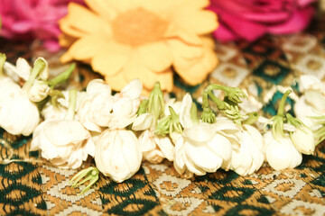 Jasmine  and flowers background