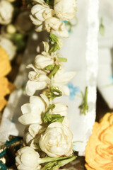 Jasmine  and flowers background