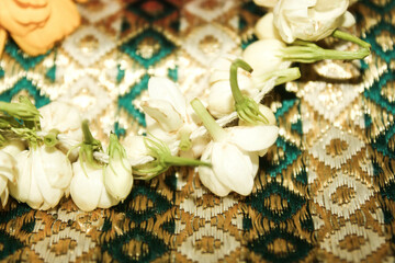 Jasmine  and flowers background