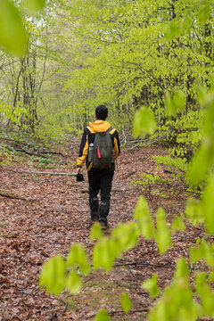 People walking in the forest in rainy weather. Trekking in rainy weather in spring. Trekking routes in Bursa. Bursa Kırıntı Village.