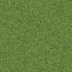 Seamless texture of the grass surface