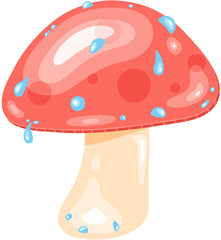 fly agaric mushroom