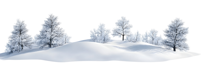 Snow-covered landscape, , clipping path, 