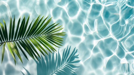 Tropic leaves and pool background top view