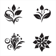 Obraz premium Floral design set with black and white flower elements and decorative vintage patterns