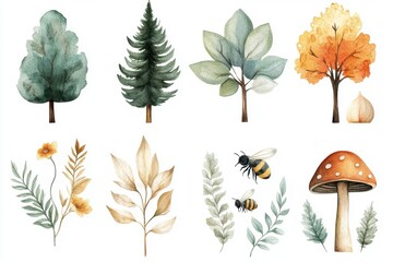 Watercolor Forest Elements.