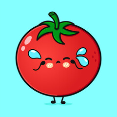 Crying Tomato character. Vector hand drawn cartoon kawaii character illustration icon. Isolated on blue background. Sad Tomato character concept