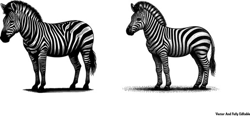 Elegant Zebra Silhouette Line Art and Striped Animal Clip Art vector Design