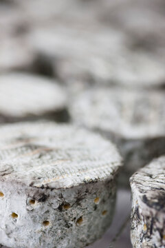 Close up of Cheeses maturing
