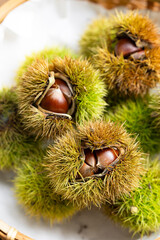 殻の中に入った栗