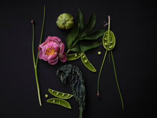 Flat lay still life dramatic flower and green vegetable arrangement on black background
