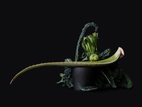 Dramatic still life green aloe vera plant and kale in peony flowerpot
