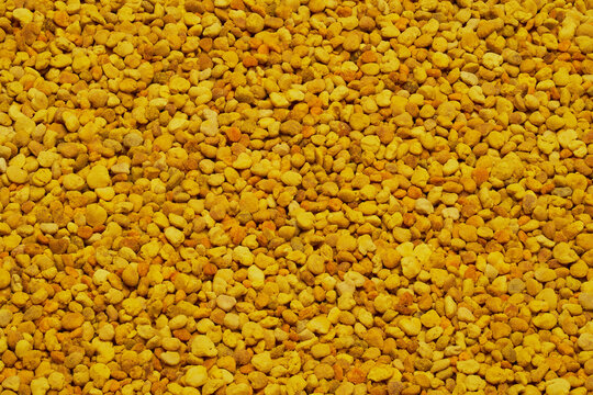 Close up full frame golden yellow bee pollen granules
