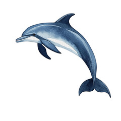 Obraz premium A beautiful dolphin illustration gracefully swimming, showcasing its sleek body and playful nature, perfect for educational and creative projects.