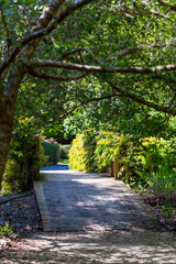 Shaded Wooden Bridge Leading to Sunlit Garden Path