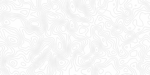 Contour abstract map relief land outline. Topographic map patterns. White wave paper curved reliefs abstract background. Background of the topography map. Abstract pattern with lines.