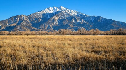 Obraz premium A lush field of towering brown grass stretches out before a majestic mountain range capped with glittering snow peaks in the far distance