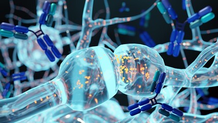 3D renderings of antibody molecules and brain cells, Antibodies can contribute to brain pathology associated with autoimmune diseases like systemic lupus erythematosus and neuromyelitis optica.