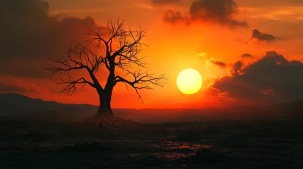 Tableau sur plexiglas  Lonely tree silhouetted against a vibrant orange sunset over a barren and desolate landscape  © vetrana