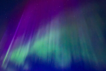 Fototapeta premium Northern lights dancing over dark specwe in the night. Scenic view of a space area landscape with northern lights in Sweden