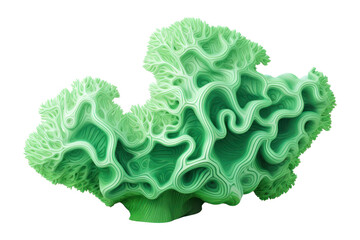 Obraz premium Magnification microbiology invertebrate accessories.