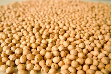 Close-up of chickpeas scattered across a surface, highlighting the texture and detail of the raw legumes.
