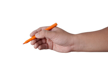 Male person hand holding pen writing, cut out isolated