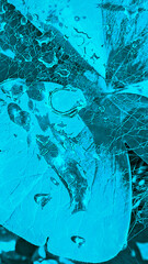 Abstract cyan background with leaves, spider webs and raindrops. For background, backdrop, wallpaper
