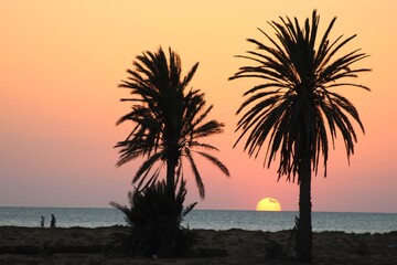 Fototapeta premium sunset on the beach