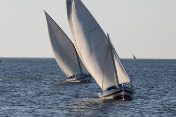 sailboat on the sea