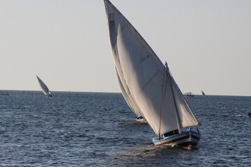 sailboat on the sea