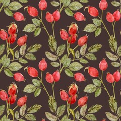Watercolor dog-rose Briar pattern, berries and green leaves on brown background. Hand drawn botanical briar brunches. Clipart for herbal tea label.