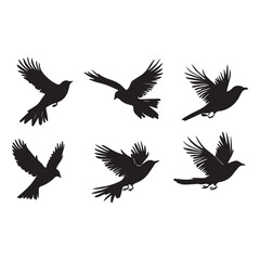 Silhouette set of birds flying vector set