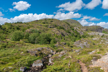 Landscape with mountain stream Studalselva near Munkebu-stig. Sorvagen in Lofoten district of Norway