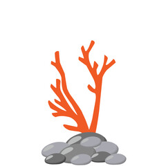 Underwater Coral Vector