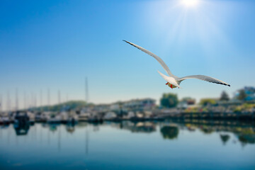 Ostseebad Kühlungsborn