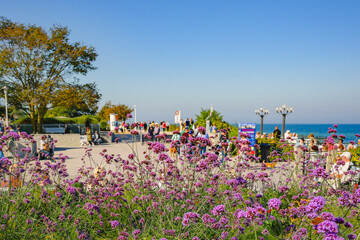 Fototapete bei efototapeten.de bestellen   