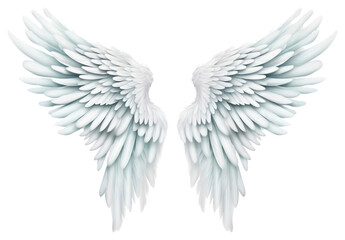 Fototapeta premium PNG Angel wing white white background creativity.