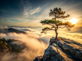 majestic monochrome morning misty pine tree solitary standing rugged rocky slope serene panoramic dramatic high contrast diffused natural golden sidelight atmospheric fog