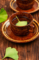 Ginkgo tee with freshen leaf.