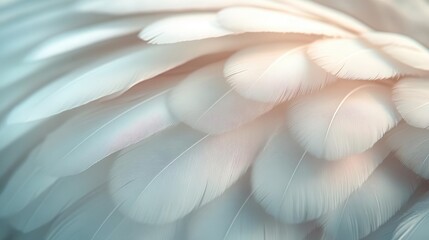 closeup of white feathers against a soft background symbolizing peace calm and spirituality the gentle textures create an inviting atmosphere for reflections on faith and hope