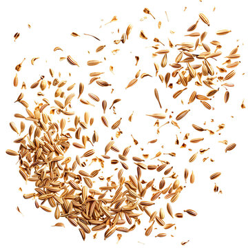 Floating cumin seeds in air on isolated transparent background