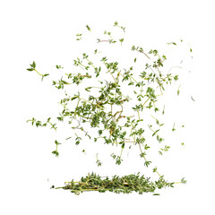 Floating dried thyme on isolated transparent background