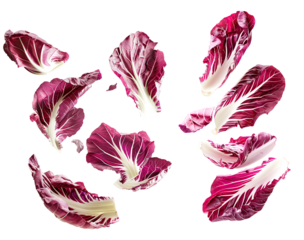 Floating radicchio slices with whole radicchio on isolated transparent background