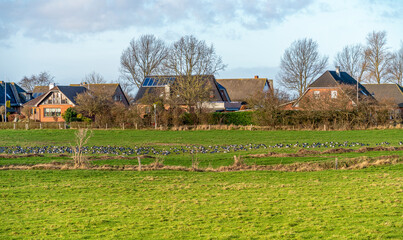 Maasholm in Northern Germany