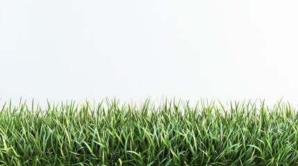 Fototapeta premium Vibrant Green Grass Isolated on a White Background