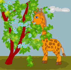 Little giraffe eating leaves from a tree. Vector illustration.